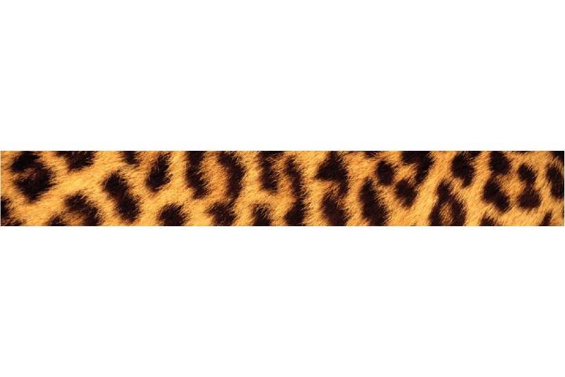 *Everyday Visor Special Edition*